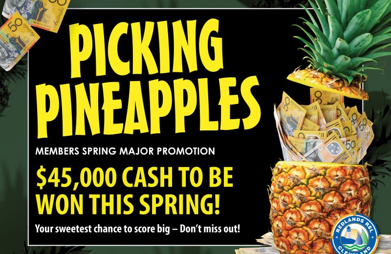 Spring Major Promotion – Picking Pineapples